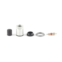 RICAMBI TPMS ALCAR: SERVICE KIT (X10)