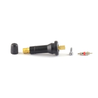 RICAMBI TPMS SCHRADER: VALVE FOR SCHRADER SNAP-IN (X10)
